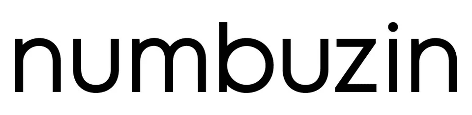 numbuzin logo